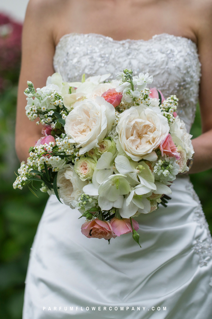 DavidAustinWeddingRosePurity DavidAustinWeddingRosePurity