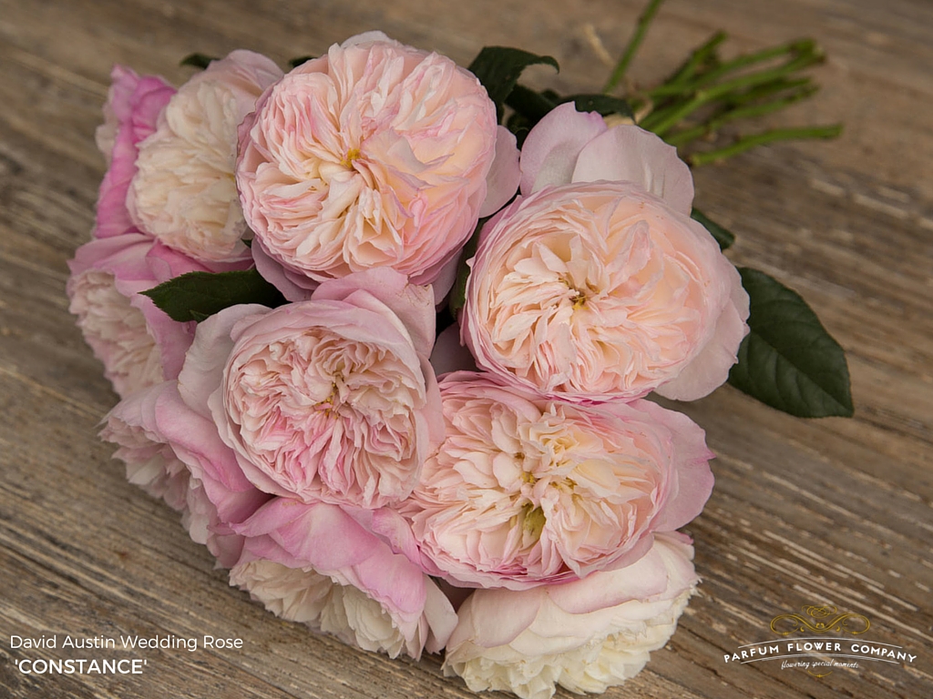 The Top 10 David Austin Wedding Roses Parfum Flower Company