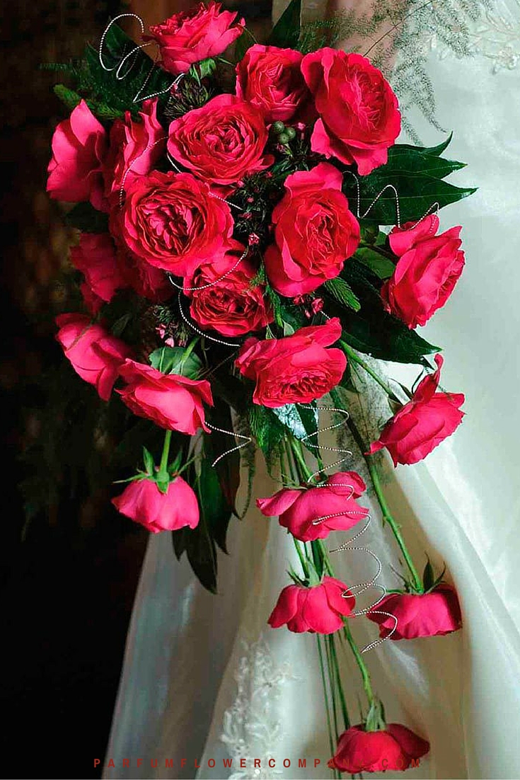 David Austin Wedding Rose Darcey - Parfum Flower Company