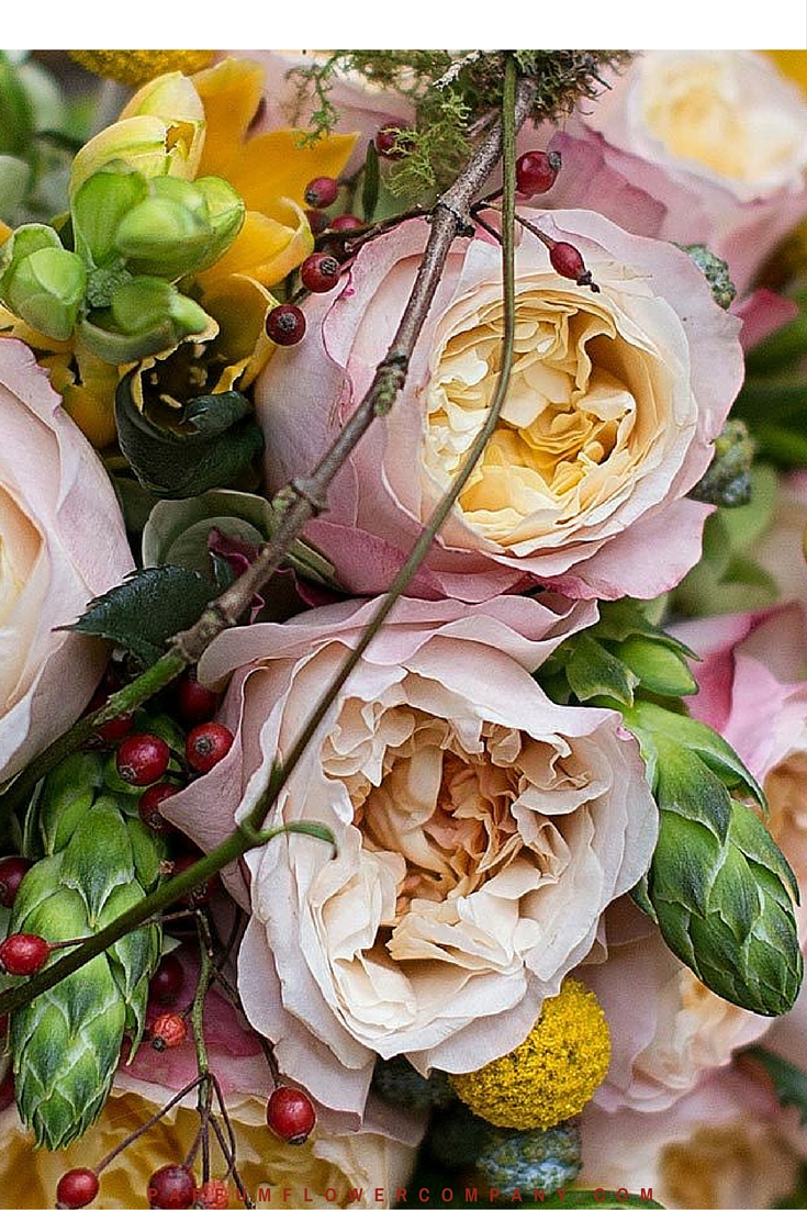 David Austin Wedding Rose Edith