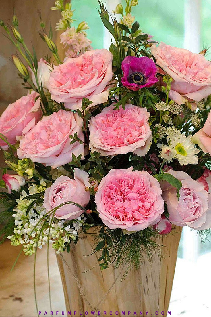 David Austin Wedding Rose Miranda - Parfum Flower Company