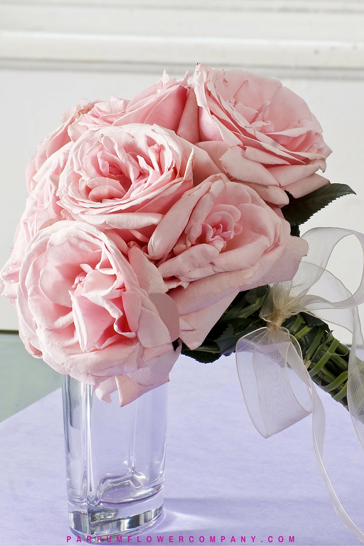 premium scented garden rose pink o 39 hara hearts pink