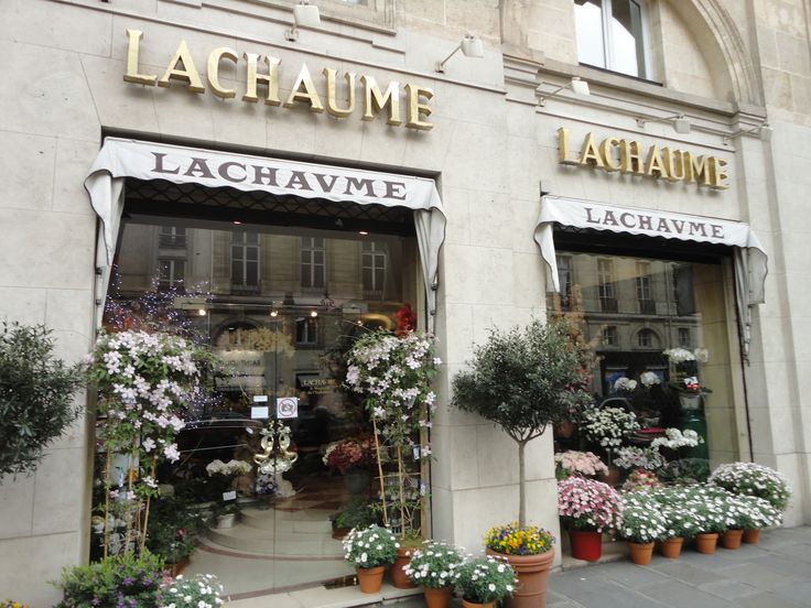 Where does Karl Lagerfeld buys his flowers? - Parfum Flower Company