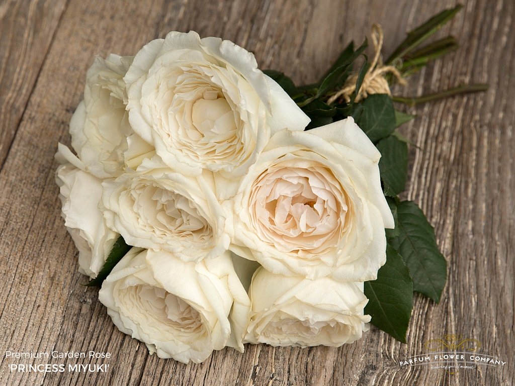 Premium Garden Rose Princess Miyuki
