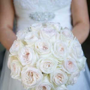 of petals that give a wonderful rose scent white ohara would be perfect to use in bouquets or centerpieces for a romantic garden wedding or mix with pinks - White Garden Rose Bouquet of petals that give a wonderful rose scent white ohara would be perfect to use in bouquets or centerpieces for a romantic garden wedding or mix with pinks - White Garden Rose Bouquet