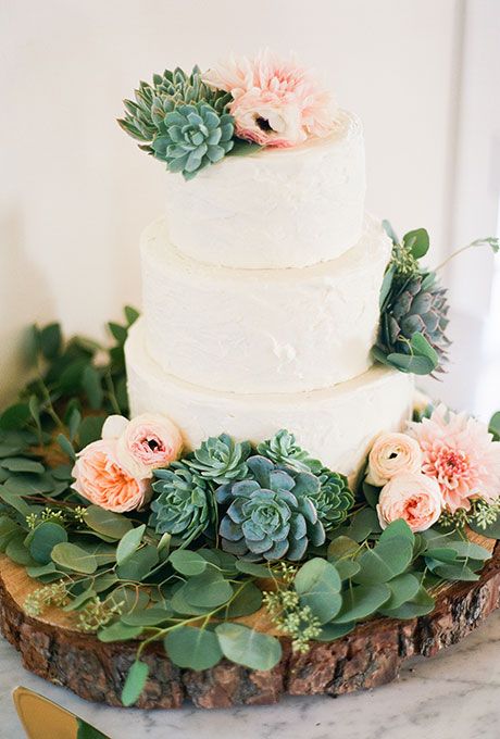 Succulents On A Wedding Cake I Would Have Said No But Changed My Succulents On A Wedding Cake I Would Have Said No But Changed My