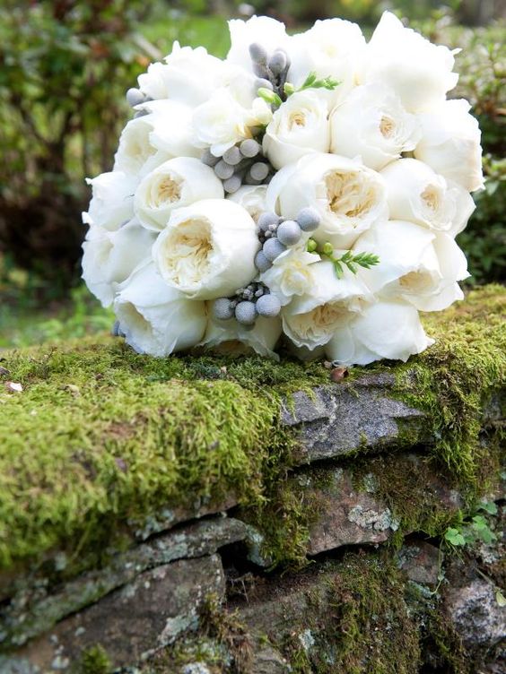 a beautiful white bouquet consisting of patience roses silver brunia and lisianthus - White Patience Garden Rose a beautiful white bouquet consisting of patience roses silver brunia and lisianthus - White Patience Garden Rose