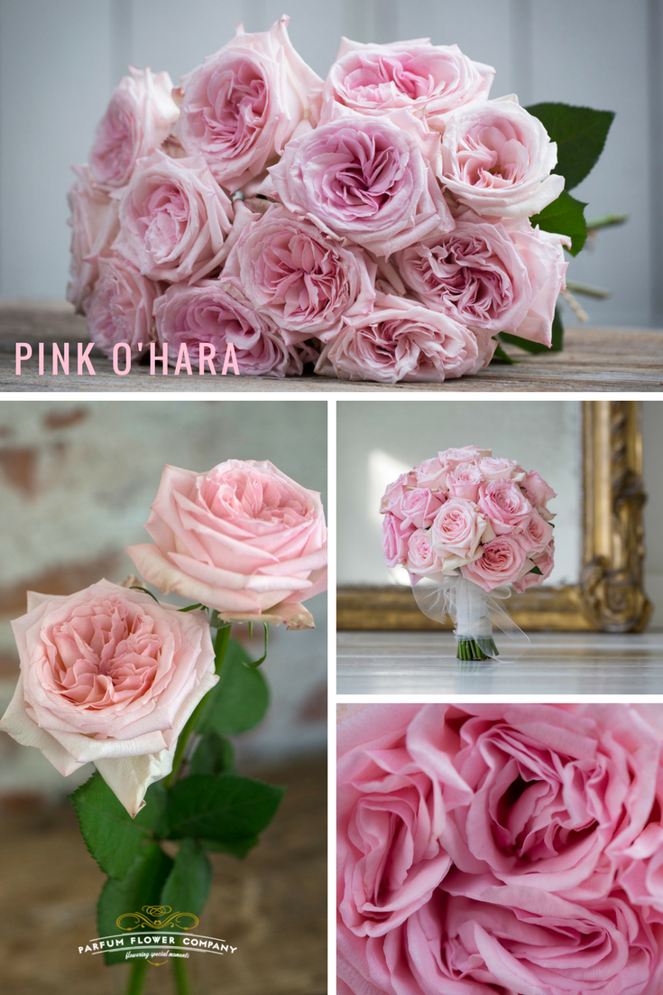 Top 10 roses of 2017 Parfum Flower Company