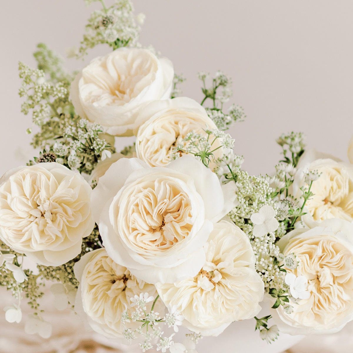 David austin roses golden wedding Clearance