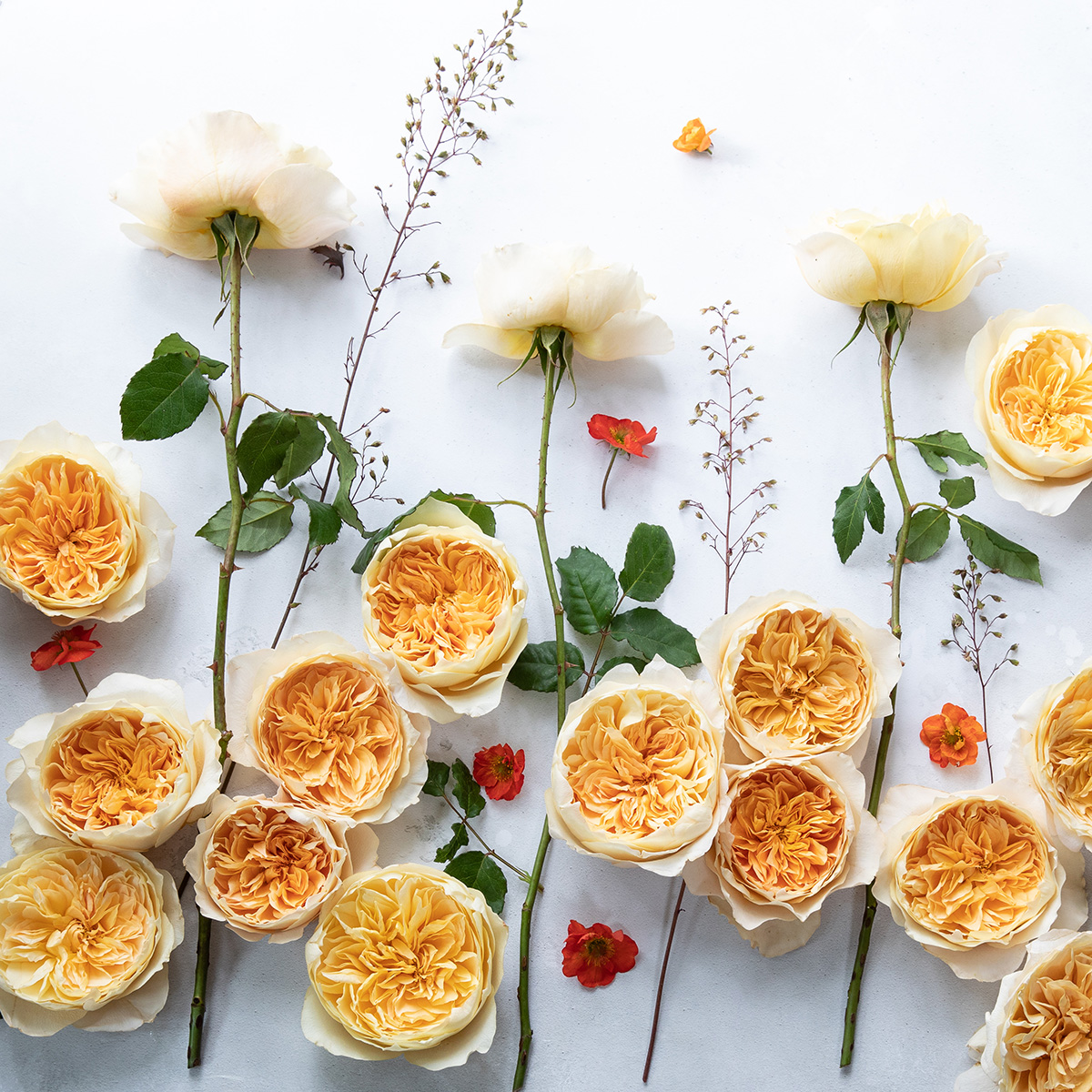 Effie Parfum Flower Company