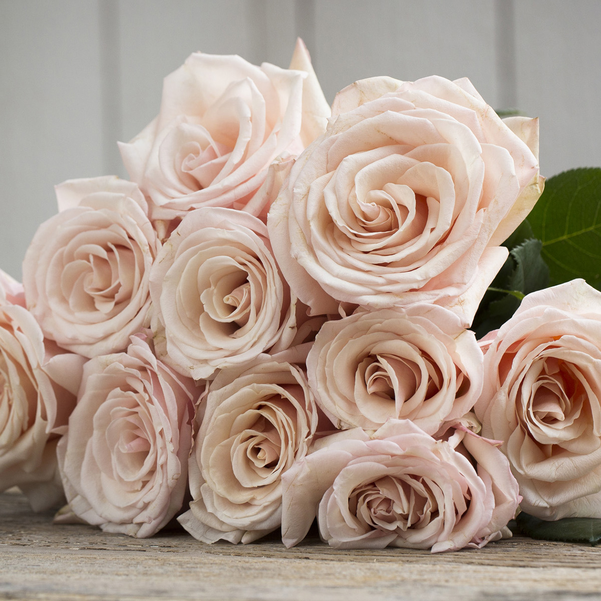 Paul Ricard Parfum Flower Company