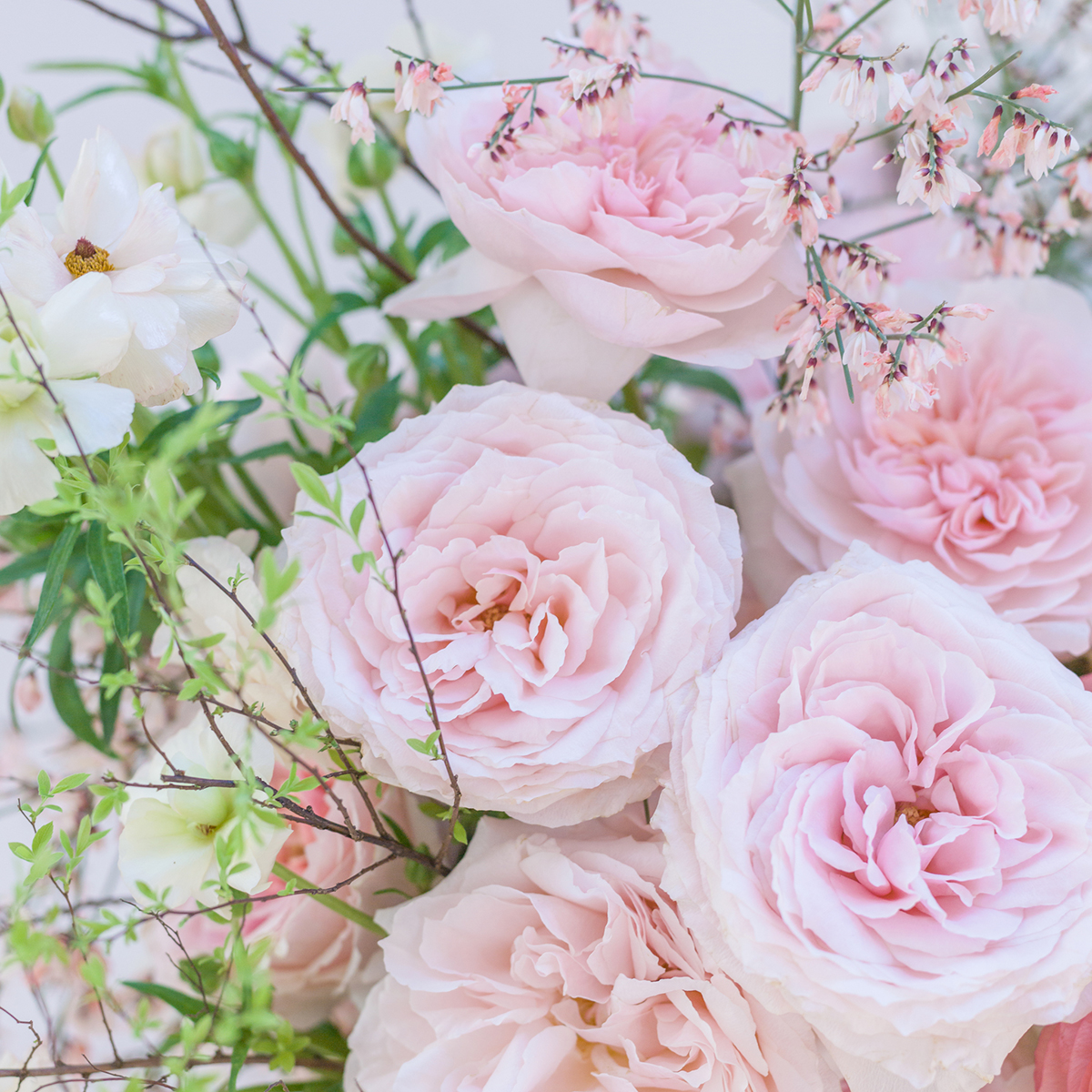 Prince Jardinier Parfum Flower Company