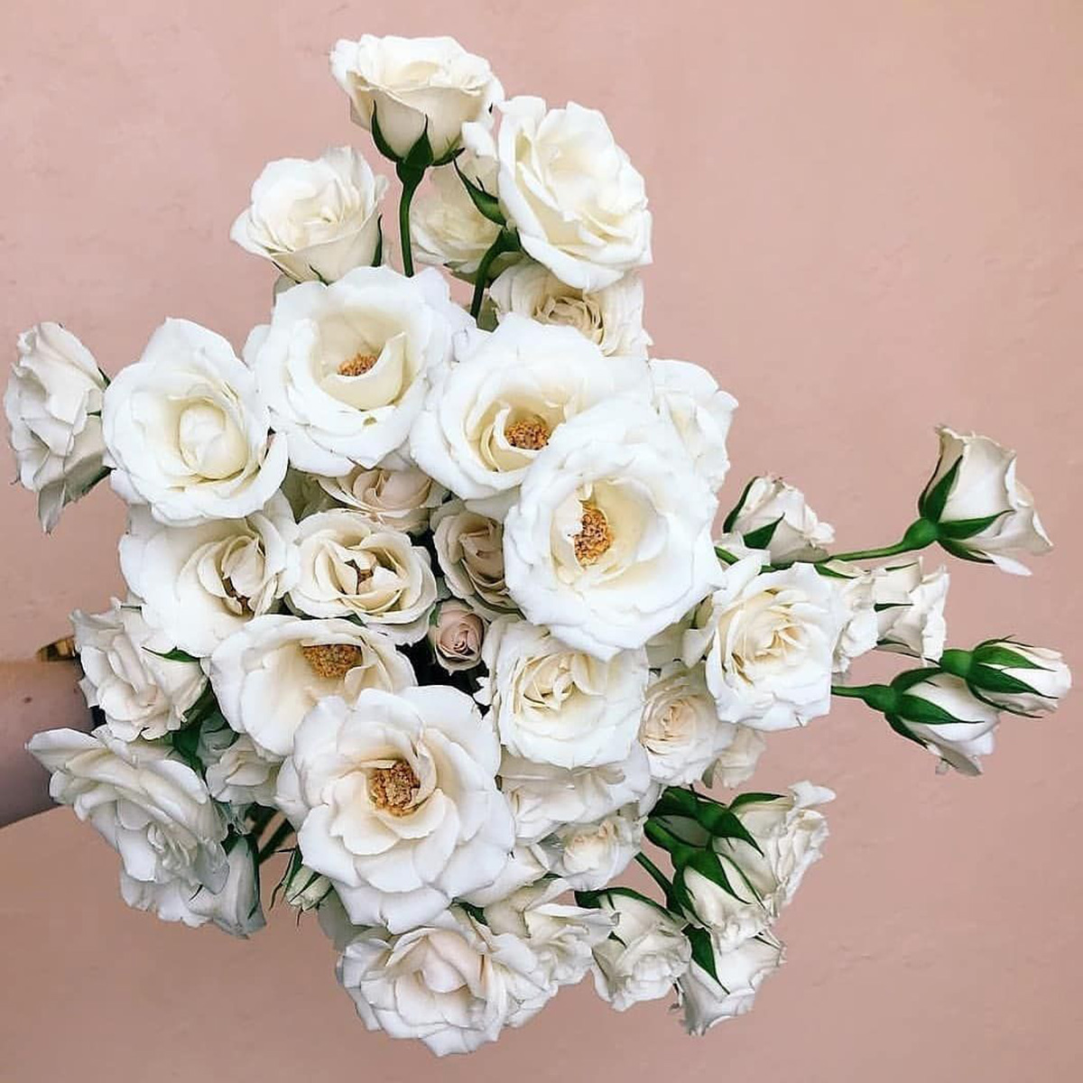 White Majolica - Parfum Flower Company