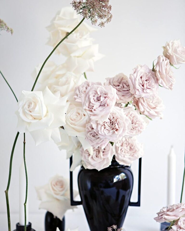 Westminster Abbey Garden Rose with allyearround availability Parfum