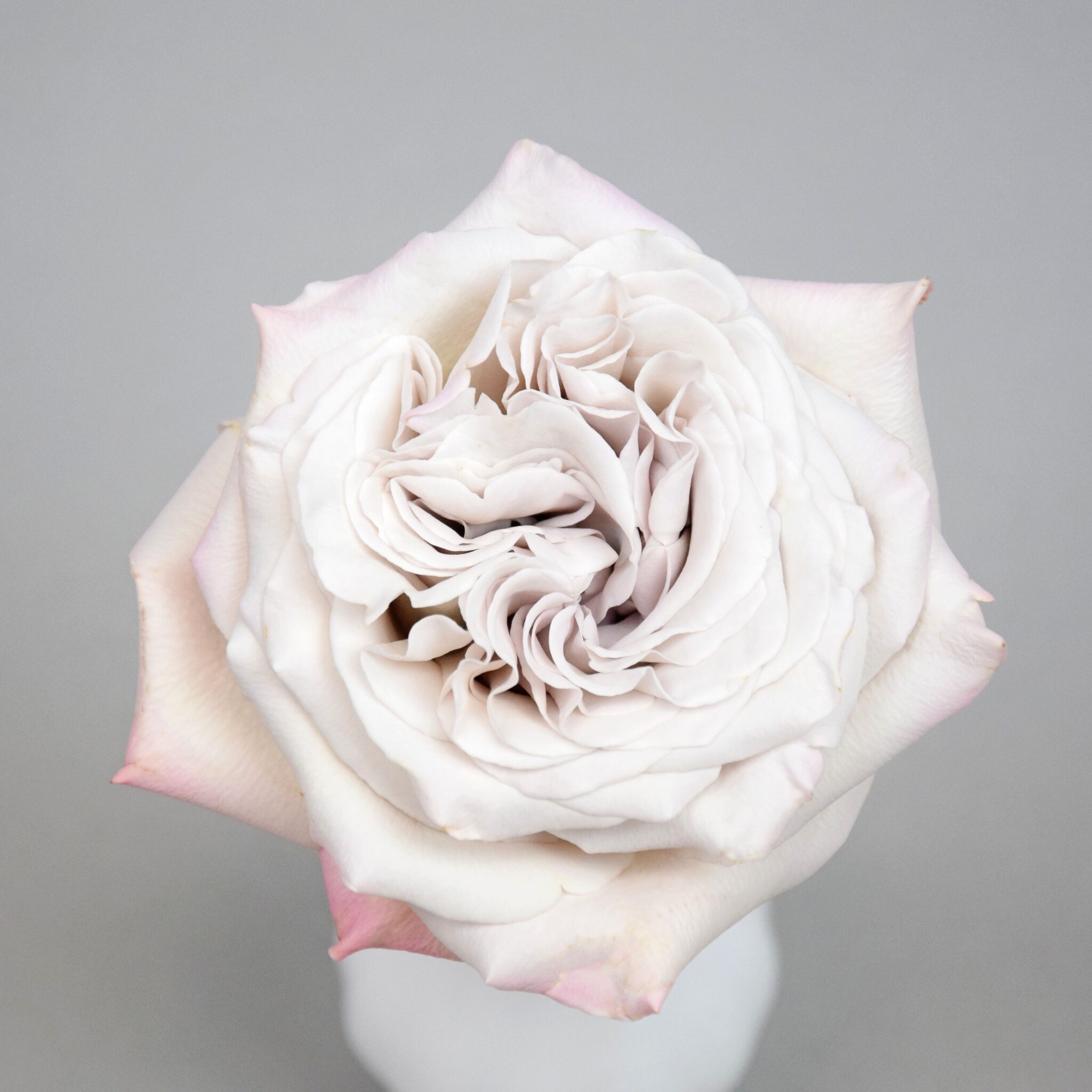 Home Parfum Flower Company